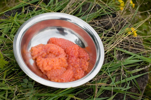 Caviar rojo salmón fresco — Foto de Stock