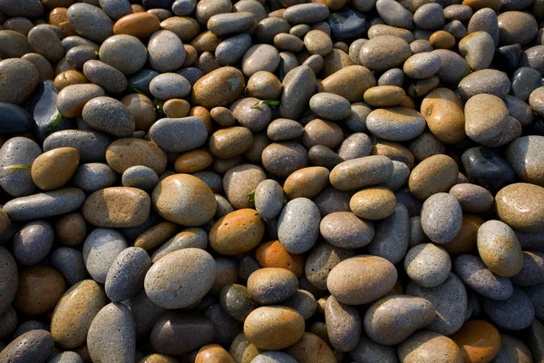 Wet pebbles sea — Stock Photo, Image