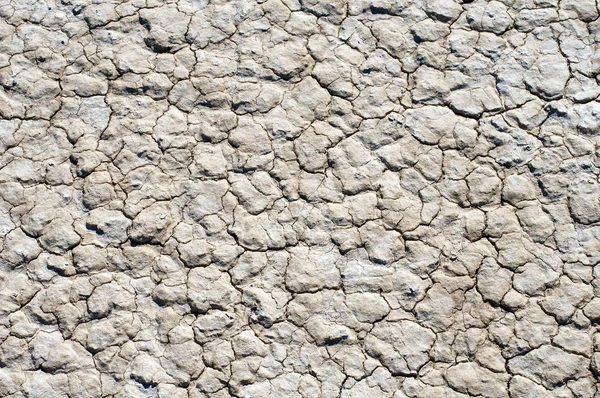 Contexto da terra seca — Fotografia de Stock