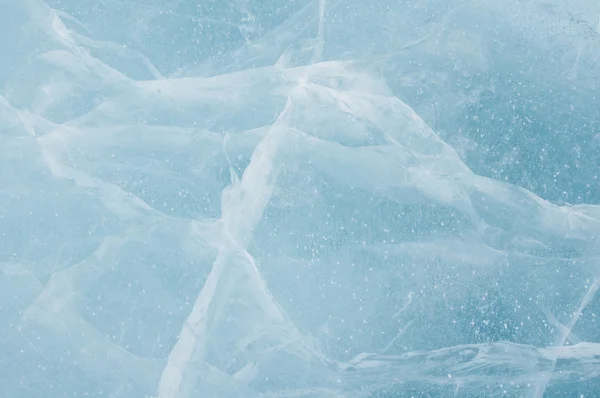Buz kalıpları — Stok fotoğraf