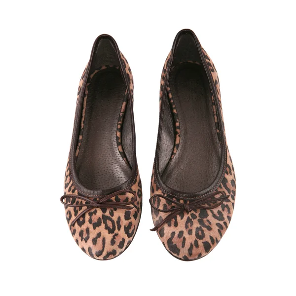 Sapatos de balé plano feminino com padrão de leopardo — Fotografia de Stock