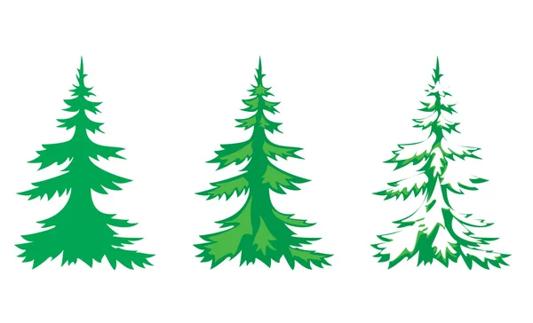 3 köknar ağacı vektör kümesi — Stok Vektör