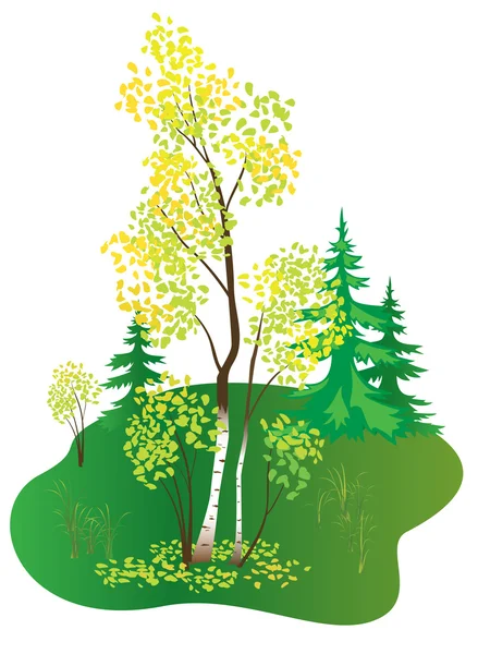 Sonbahar huş ağacıyla vektör illüstrasyonu — Stok Vektör