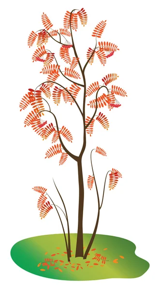 Ilustración vectorial con rowan otoño — Archivo Imágenes Vectoriales