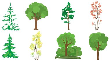 Set of 8 trees clipart