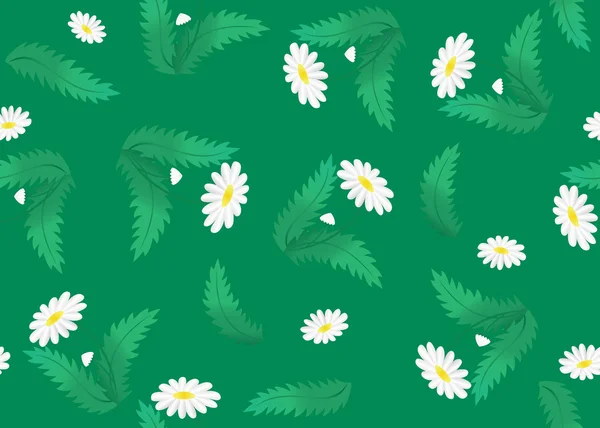 Textura verde floral vectorial con manzanilla — Archivo Imágenes Vectoriales