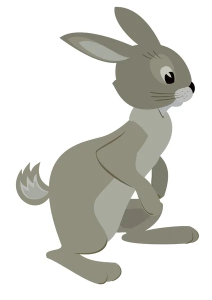 Vector illustration of gray rabbit — Stock Vector