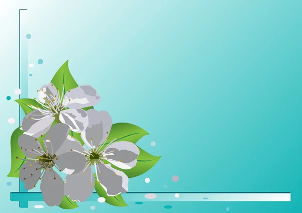 Cartão vetorial com flores de cereja —  Vetores de Stock