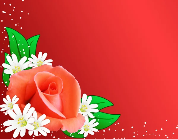 Červenou kartu některé květy — Stock fotografie