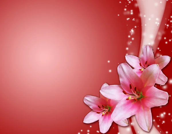 Carton rouge avec des fleurs roses — Photo
