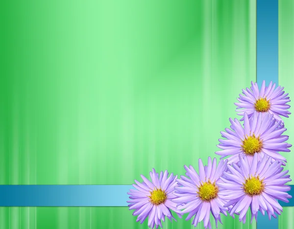 Tarjeta Verde Con Flores Violetas —  Fotos de Stock