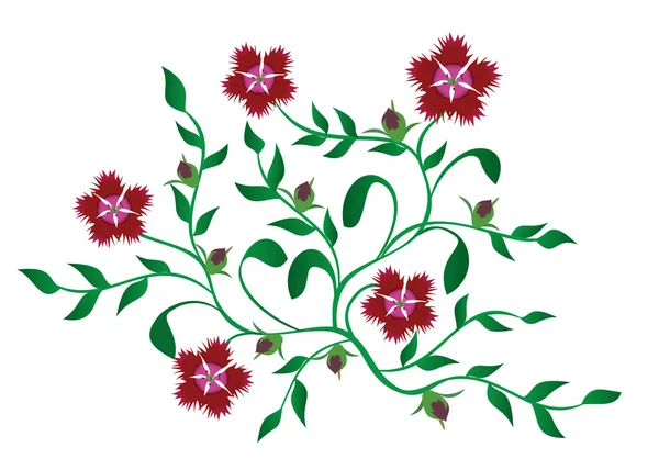 Ilustración vectorial de plantas verdes con flores rojas — Vector de stock