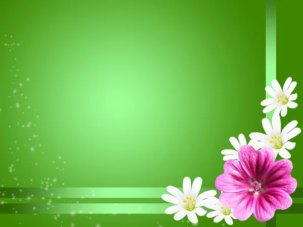 Cartão decorativo com algumas flores — Fotografia de Stock