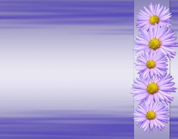 Tarjeta violeta con gradiente y flores —  Fotos de Stock