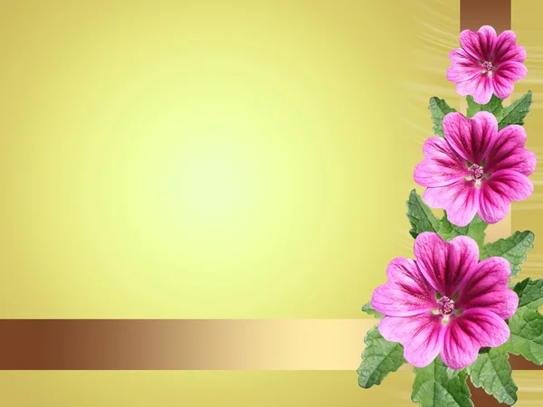 Żółta kartka z kwiatów mallow — Zdjęcie stockowe