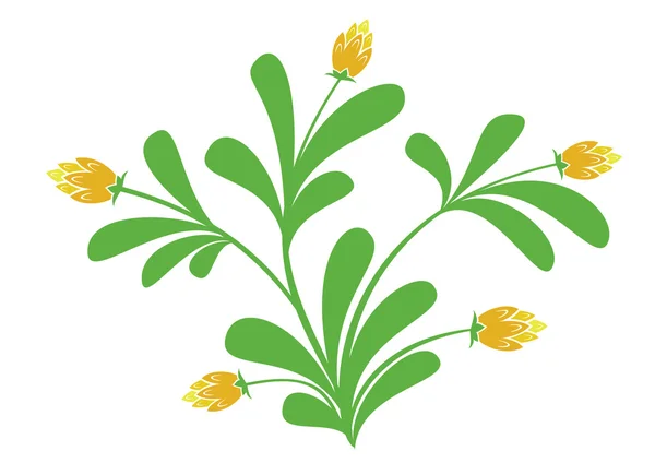 Vector Green Plant Orange Flowers — Stock Vector