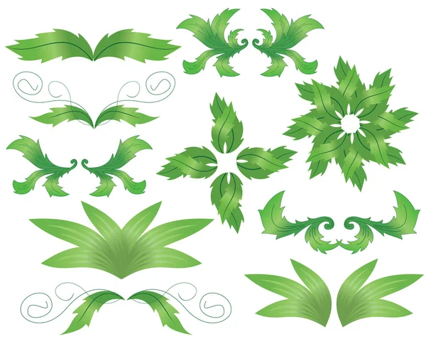 Set of herbal decorative elements for design — Stock Vector