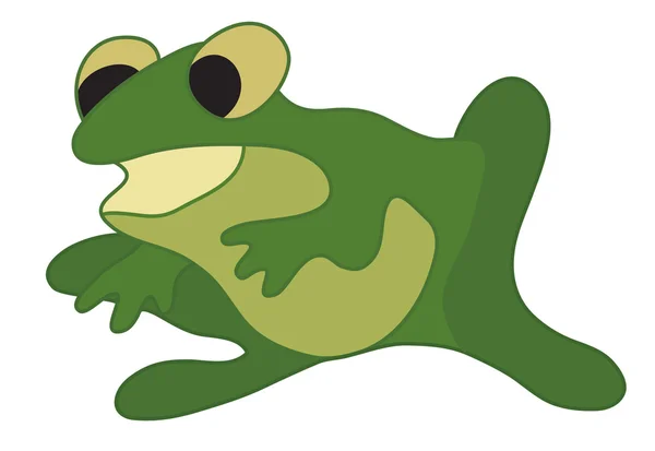 Yeşil kurbağa vektör çizim — Stok Vektör