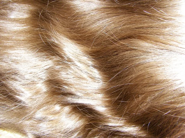 Hermoso cabello de mujer — Foto de Stock