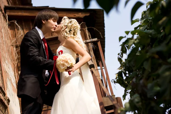 Sposo, sposa, bacio — Foto Stock