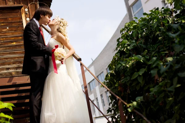 Sposo, sposa, bacio — Foto Stock