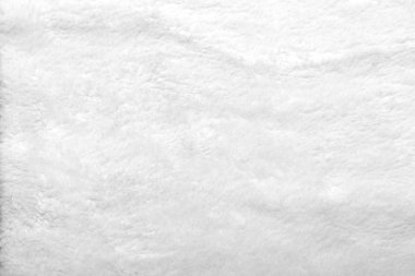 Texture background from white fur of animal