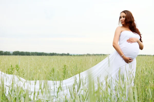 Young Beauty Pregnant Woman Field — Stock Photo, Image