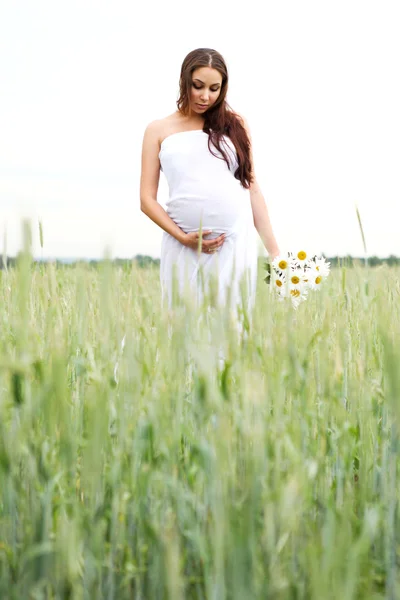 Young Beauty Pregnant Woman Field — Stock Photo, Image
