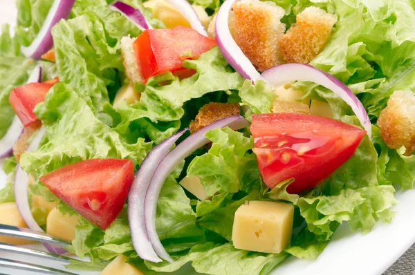 Saláta háttér — Stock Fotó