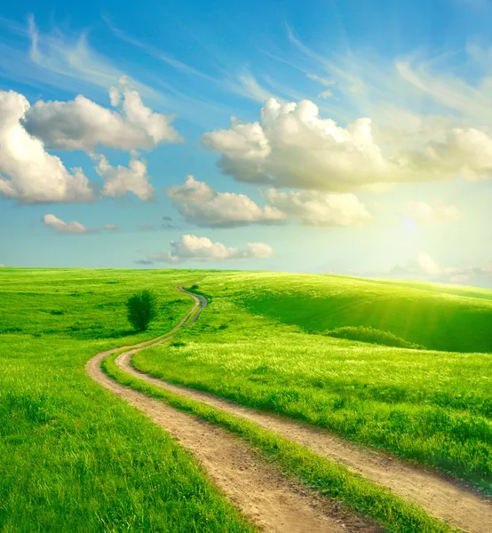 Καλοκαιρινό τοπίο με πράσινο γρασίδι, δρόμο και σύννεφα Φωτογραφία Αρχείου