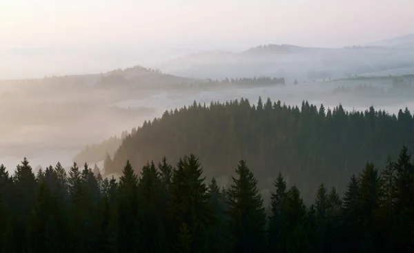 Hermoso amanecer brumoso en las montañas — Foto de Stock