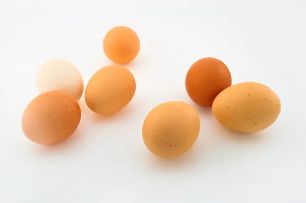 stock image Eggs
