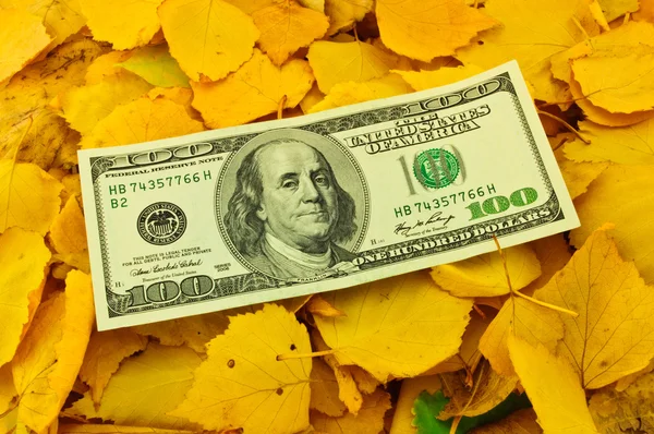 Gelbe Herbstblätter — Stockfoto