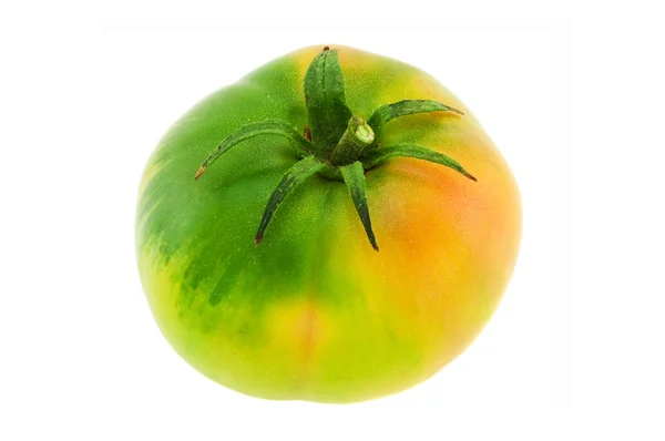 Зеленый помидор — стоковое фото