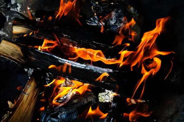 Burninging firewood — Stock Photo, Image