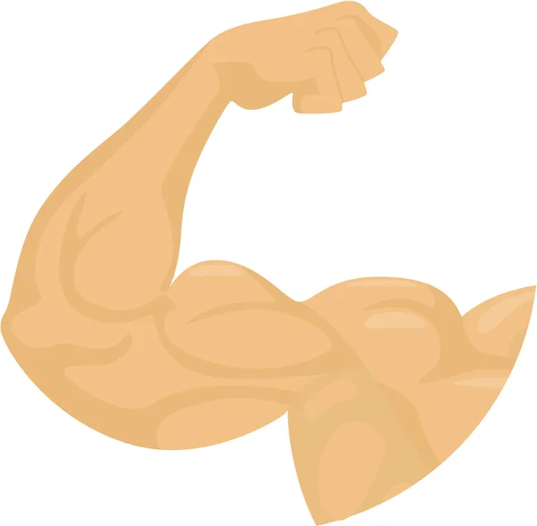 Biceps — Image vectorielle