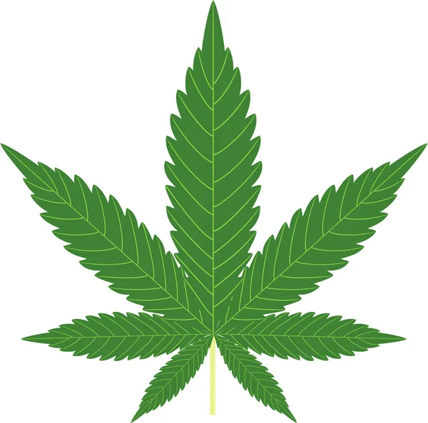Cannabis — Stockvektor
