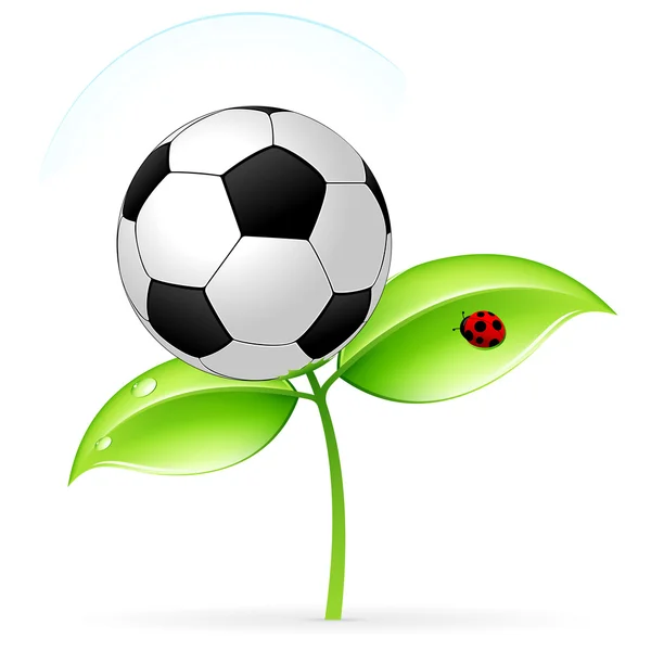 Icône avec football — Image vectorielle