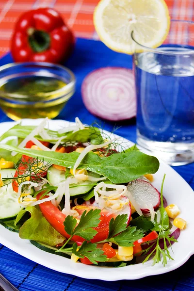 丰富而又健康的蔬菜沙拉 — 图库照片