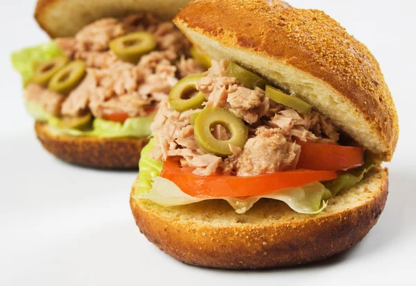 stock image Tuna sandwich