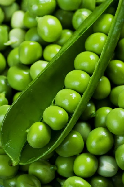 Свіжий зелений горошок — стокове фото