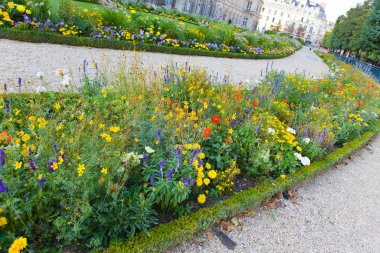 France. Paris. Beds in the Luxembourg garden. clipart