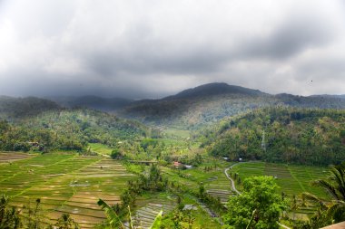 Endonezya. Bali. tropikal doğa fırtına gökyüzü altında