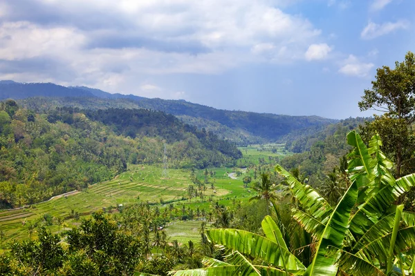 熱帯の風景。インドネシア。バリ島. — ストック写真