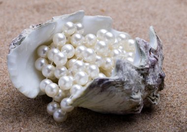 The exotic sea shell with a pearl beads lies on sand clipart