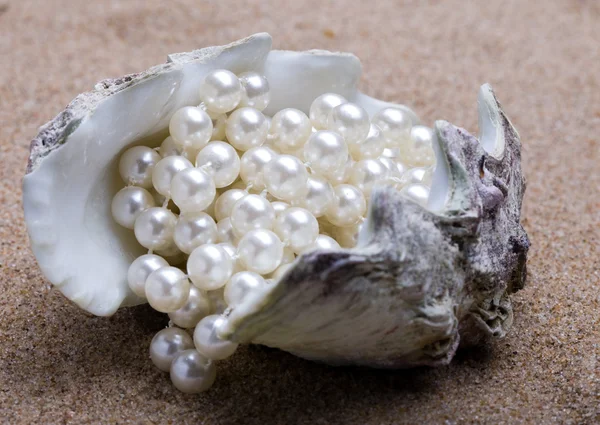 Το κέλυφος εξωτικά θαλάσσια με ένα μαργαριτάρι χάντρες ψέματα στην άμμο — Φωτογραφία Αρχείου