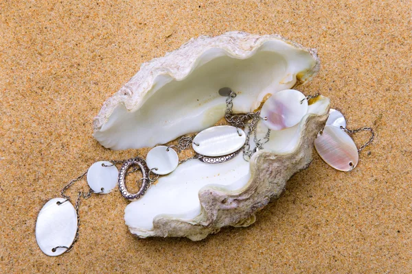 De exotische zee shell met een kralen leugens op zand — Stockfoto