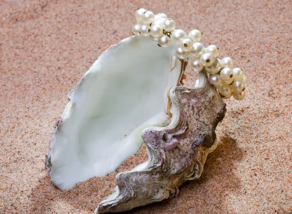 The exotic sea shell with a pearl beads lies on sand — Stock Photo, Image