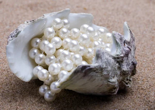 Sea shell pearl Stock Photos, Royalty Free Sea shell pearl Images ...