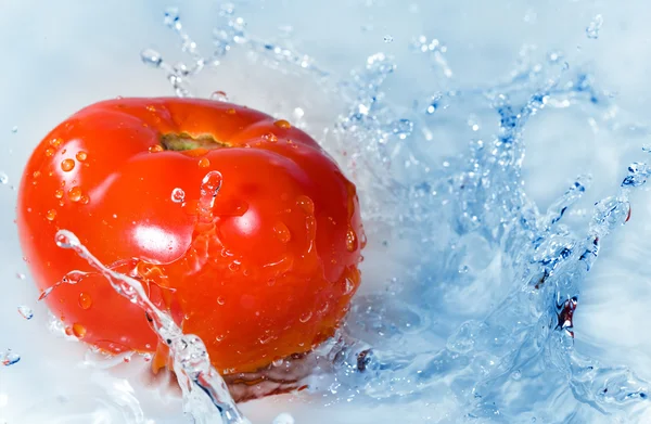 Tomat i vattenstänk — Stockfoto